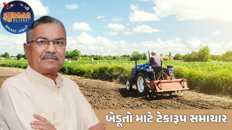 ગુજરાતમાં લાભ પાંચમ બાદ તા. 11મી નવેમ્બરથી 90 દિવસ સુધી મગફળી, મગ, અડદ અને સોયાબીનની ટેકાના ભાવે ખરીદી થશે