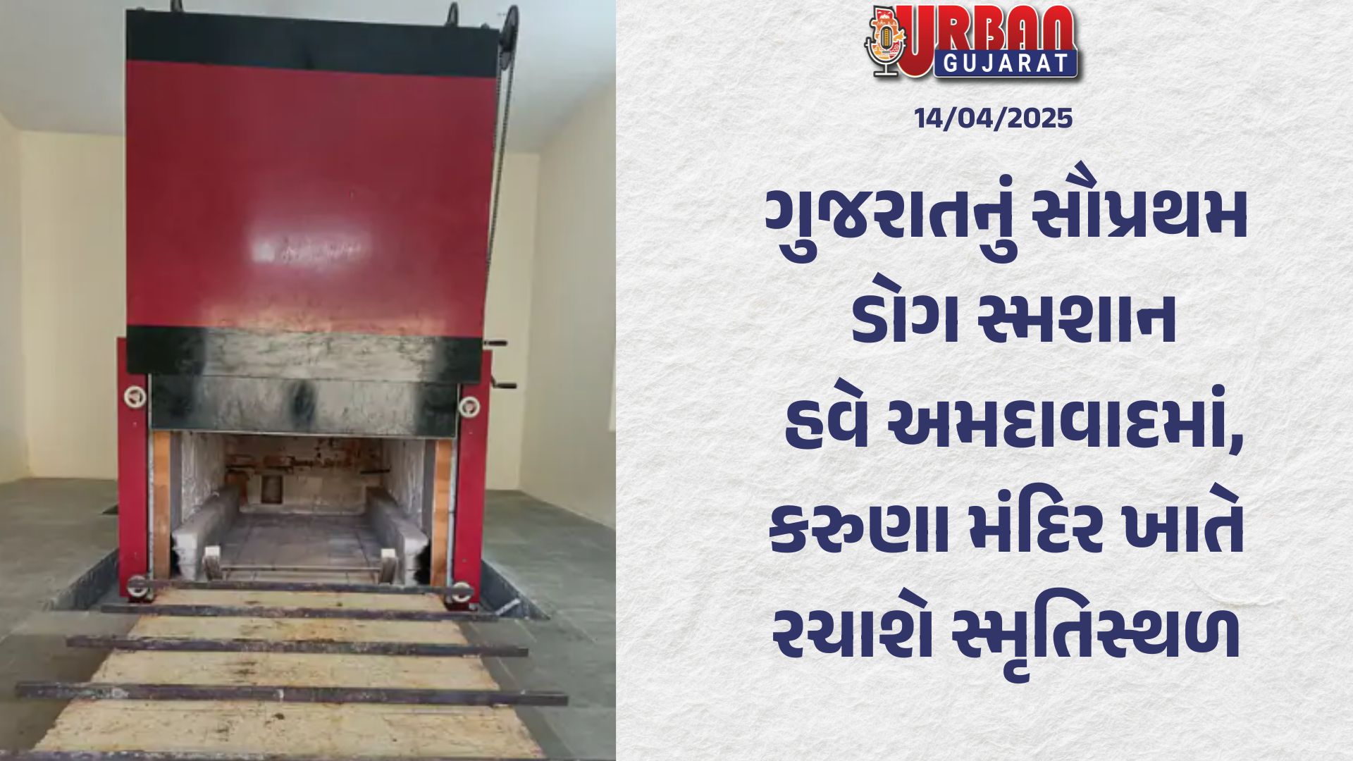 ગુજરાતનું સૌપ્રથમ ડોગ સ્મશાન હવે અમદાવાદમાં, કરુણા મંદિર ખાતે રચાશે સ્મૃતિસ્થળ