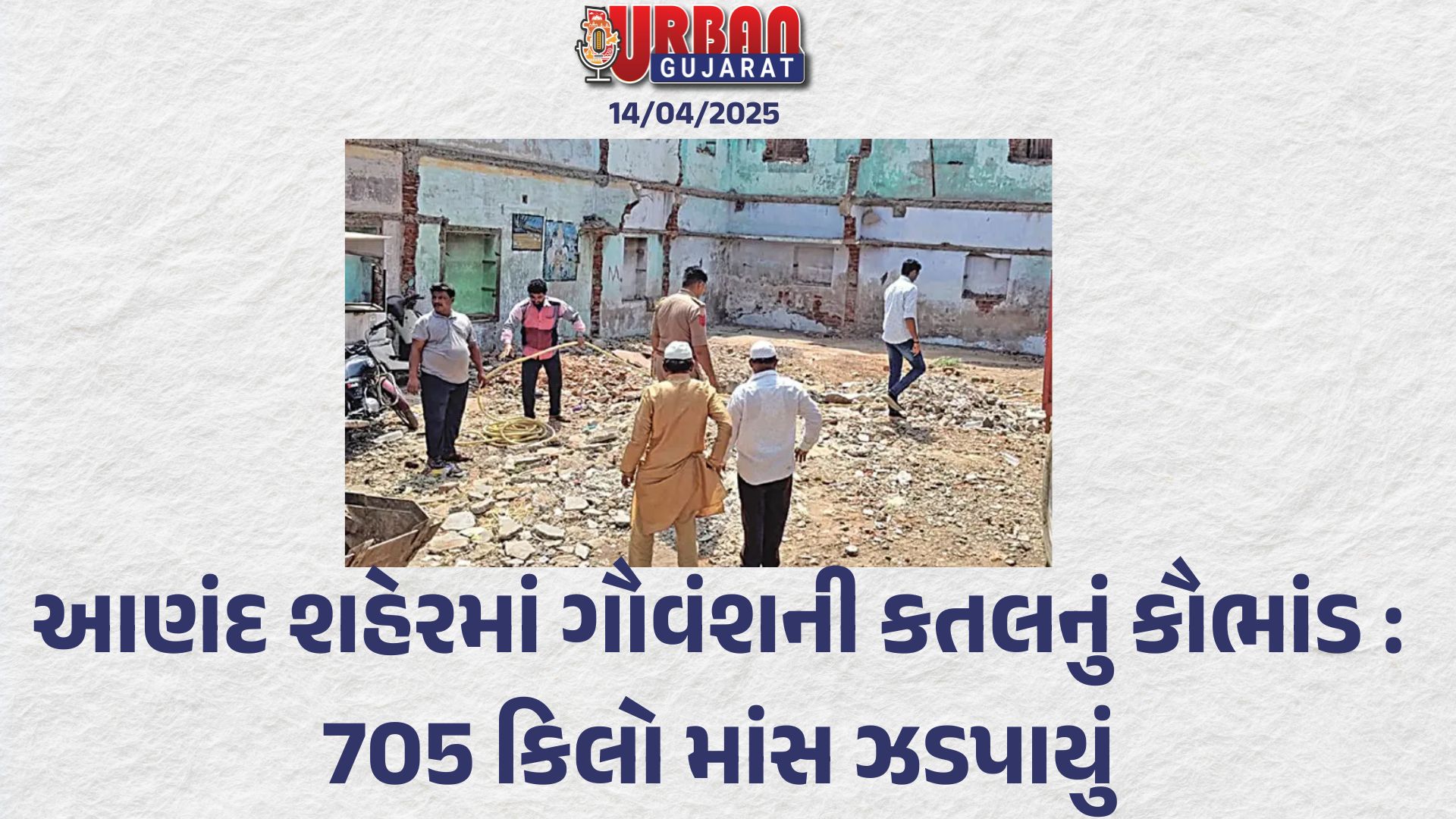 આણંદ શહેરમાં ગૌવંશની કતલનું કૌભાંડ : 705 કિલો માંસ ઝડપાયું