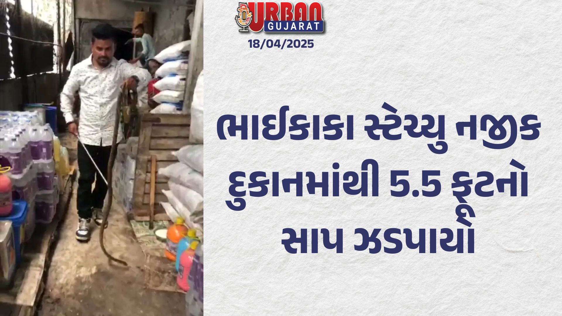 ભાઈકાકા સ્ટેચ્યુ નજીક દુકાનમાંથી 5.5 ફૂટનો સાપ ઝડપાયો