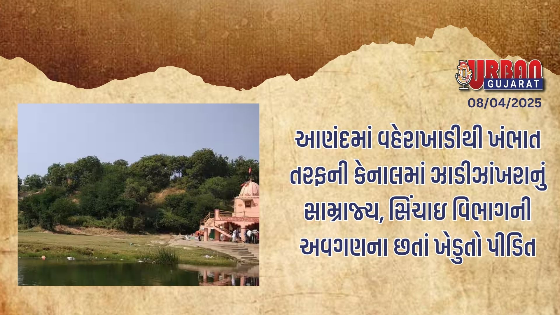 આણંદમાં વહેરાખાડીથી ખંભાત તરફની કેનાલમાં ઝાડીઝાંખરાનું સામ્રાજ્ય, સિંચાઇ વિભાગની અવગણના છતાં ખેડુતો પીડિત