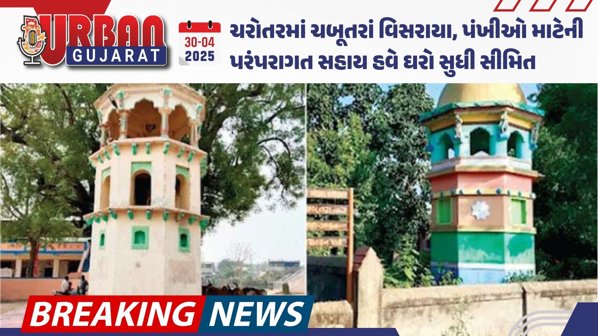 ચરોતરમાં ચબૂતરાં વિસરાયા, પંખીઓ માટેની પરંપરાગત સહાય હવે ઘરો સુધી સીમિત