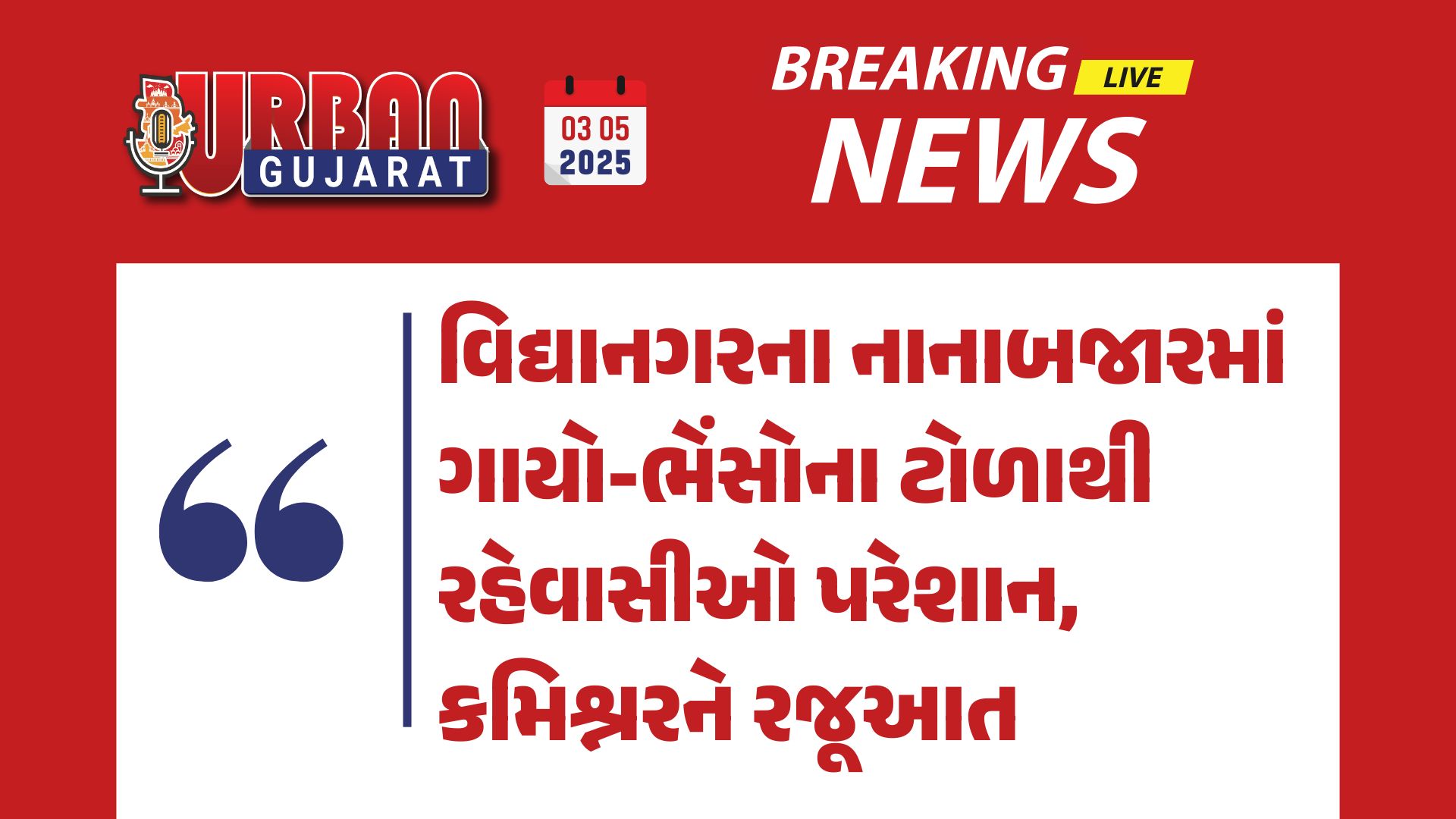 વિદ્યાનગરના નાનાબજારમાં ગાયો-ભેંસોના ટોળાથી રહેવાસીઓ પરેશાન, કમિશ્નરને રજૂઆત