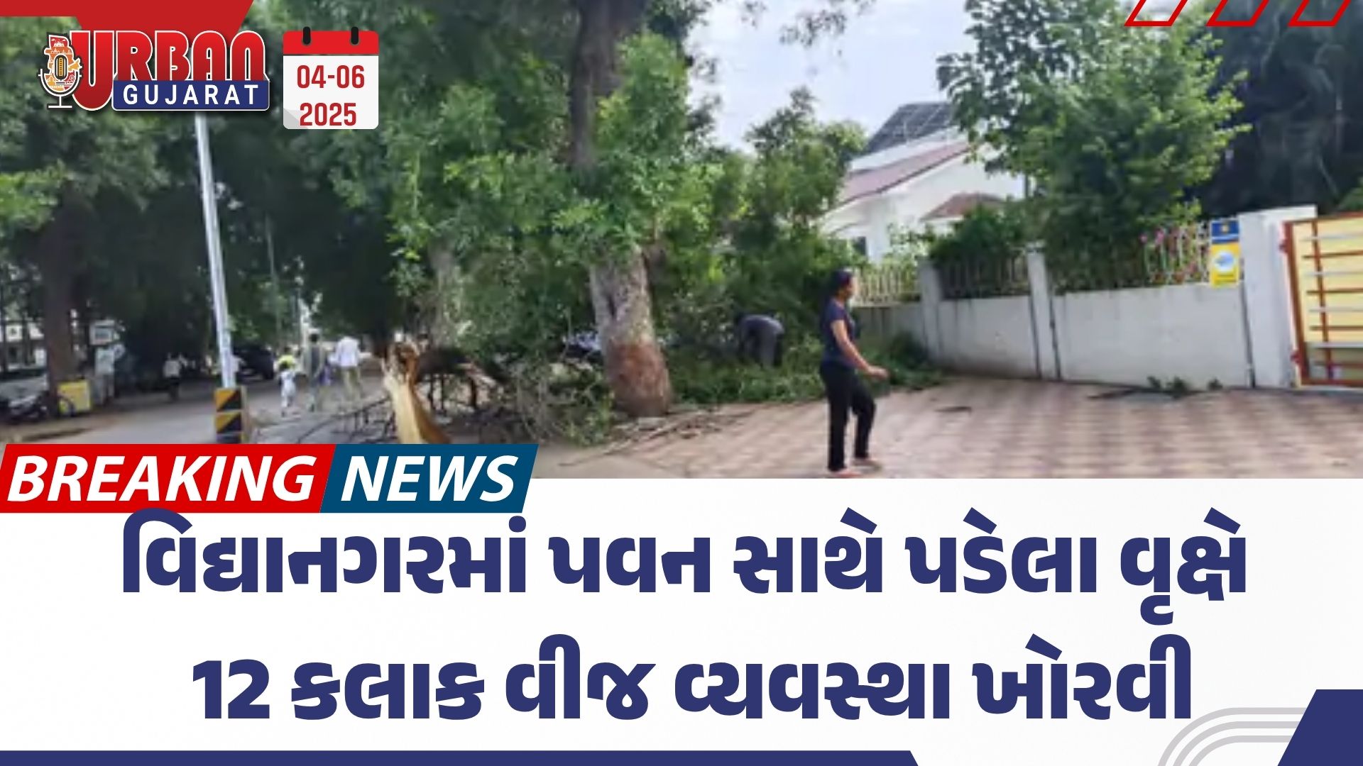 વિદ્યાનગરમાં પવન સાથે પડેલા વૃક્ષે 12 કલાક વીજ વ્યવસ્થા ખોરવી