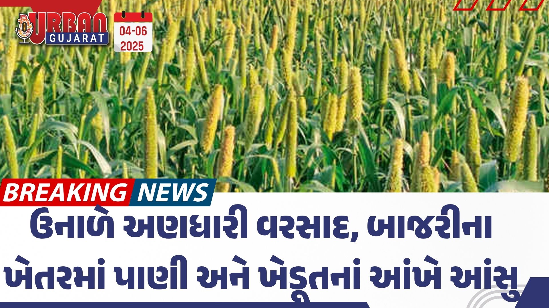 ઉનાળે અણધારી વરસાદ, બાજરીના ખેતરમાં પાણી અને ખેડૂતનાં આંખે આંસુ