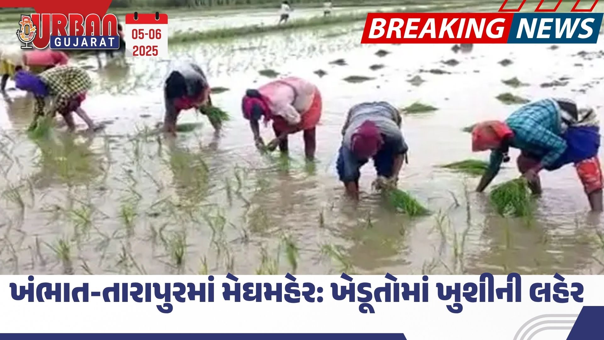 ખંભાત-તારાપુરમાં મેઘમહેર: ખેડૂતોમાં ખુશીની લહેર