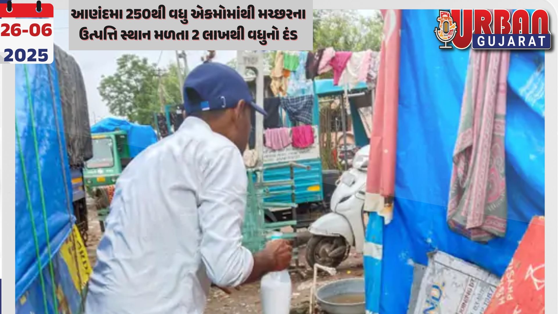 આણંદમા 250થી વધુ એકમોમાંથી મચ્છરના ઉત્પત્તિ સ્થાન મળતા 2 લાખથી વધુનો દંડ