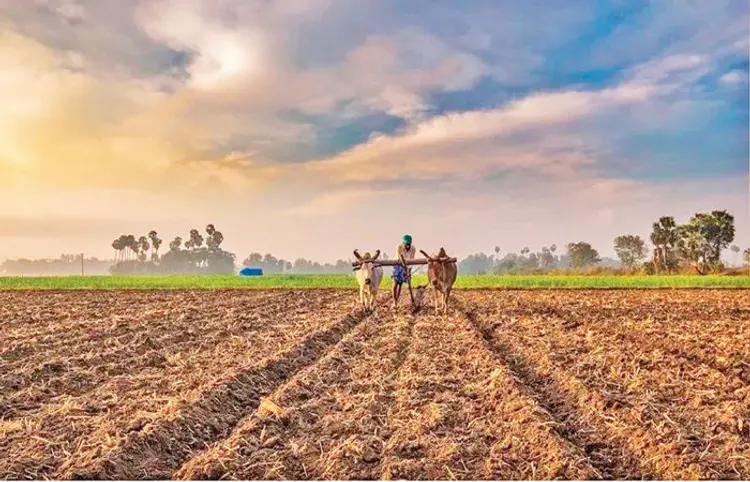 ખેડા જિલ્લામાં ચાલુ વર્ષે ખરીફ વાવેતર 1.44 લાખ હેક્ટરને પાર