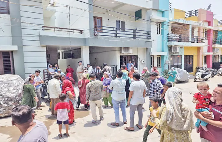 સોશિયલ મીડિયામાં ચર્ચાનો વિષય: ભેંસો સાબરમતીમાંથી સીધી દરિયામાં