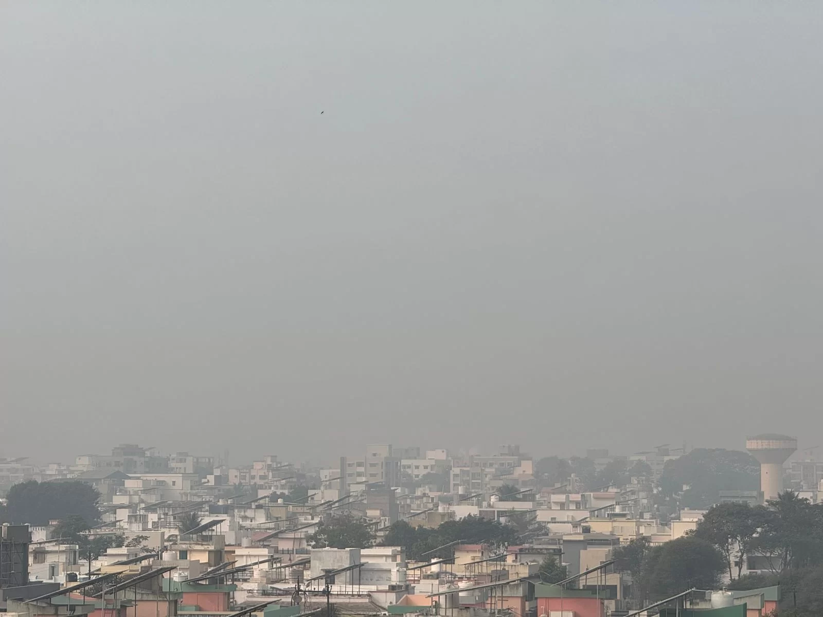 ચરોતર વિસ્તારમાં વાદળછાયા વાતાવરણની અસર: ઠંડીમાં આગામી 5 દિવસ રાહત