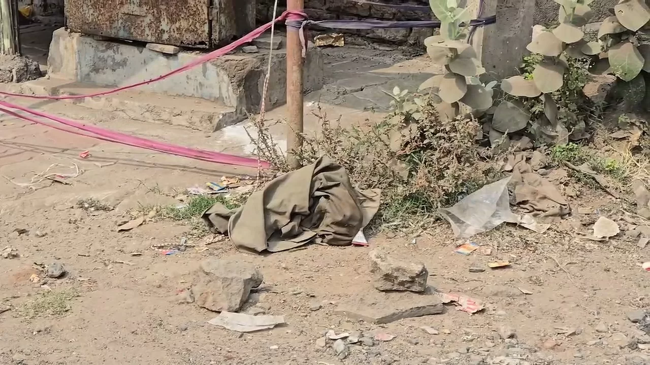 આણંદના 100 ફૂટ રોડ પર નવજાત ભ્રુણનો મૃતદેહ મળતાં વિસ્તારમાં ફફડાટ