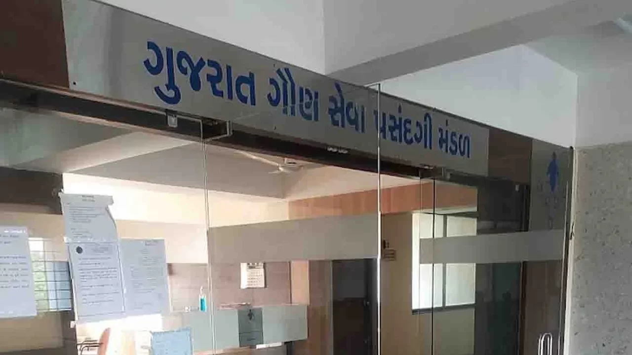 GSSSB CCE ભરતી 2026: ગુજરાત ગૌણ સેવા પસંદગી મંડળ દ્વારા 5000+ જગ્યાઓ માટે બમ્પર ભરતીની જાહેરાત