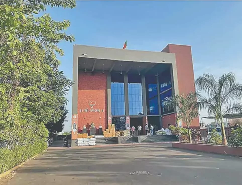 સ્થાનિક સ્વરાજ્યની ચૂંટણી પહેલાં ભાજપ સંગઠન એક્શનમાં, જિલ્લાભરમાં જવાબદારીઓ ફાળવાઈ