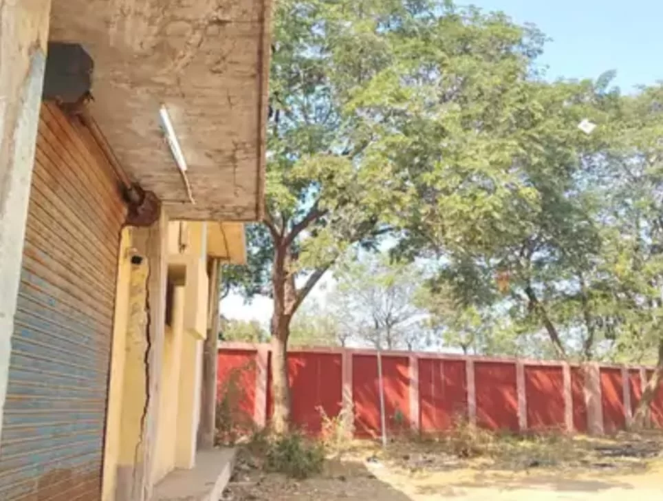 આણંદમાં સરકારી અનાજ ગોડાઉનમાં ધોળા દિવસે ટ્યુબલાઈટો ચાલુ, વિજળી બચતના દાવાઓ પર સવાલ