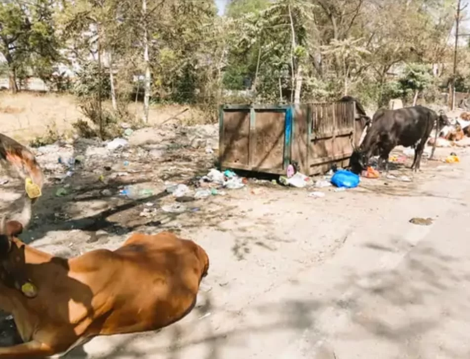 સ્વચ્છતા ઝુંબેશ માત્ર કાગળ પર: કરમસદ–આણંદ મનપા વિસ્તારમાં કચરાનું સામ્રાજ્ય