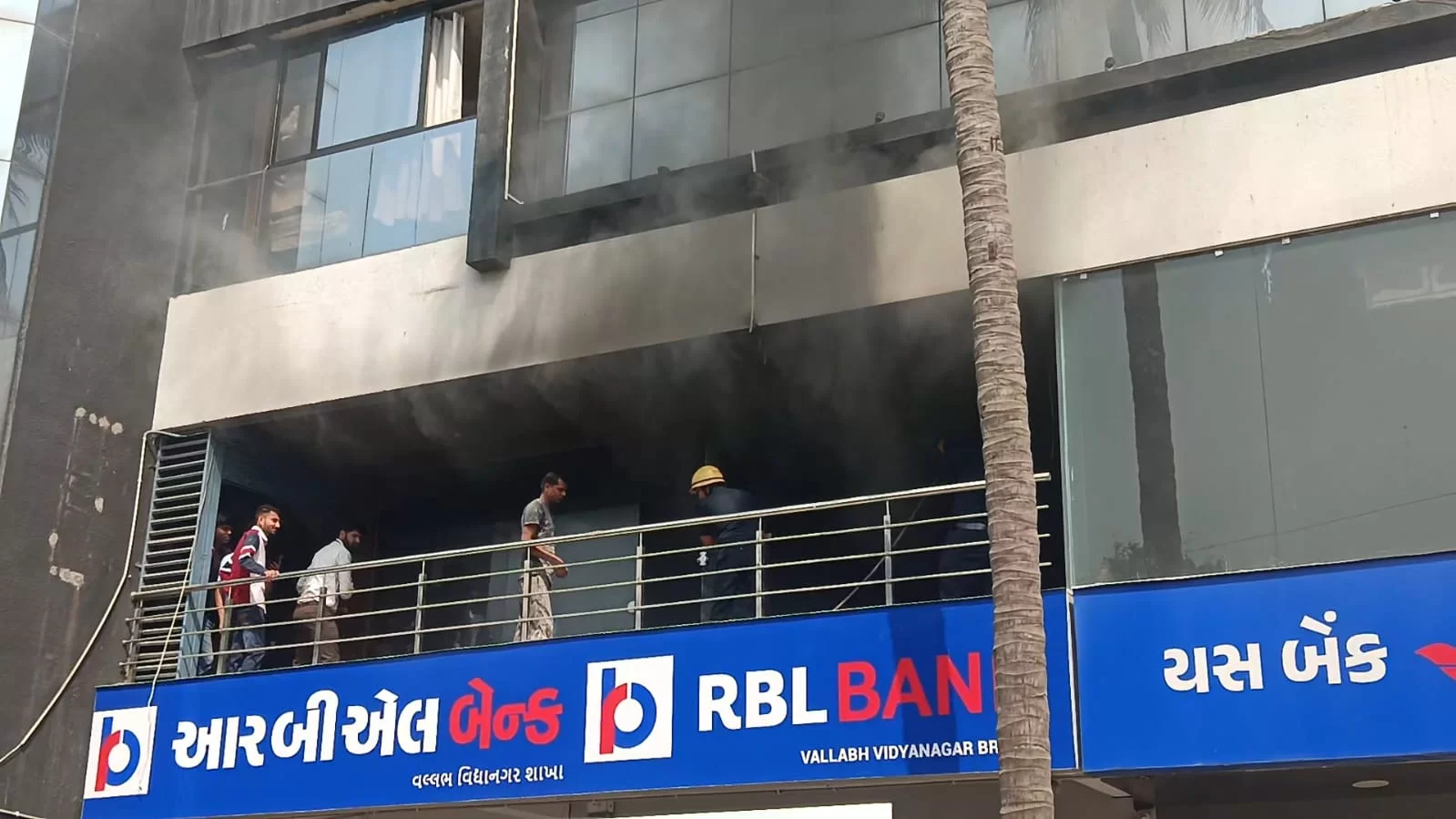 આગ પર કાબૂ: વિધાનગરમાં યુનિવર્સિટી ગેસ્ટ હાઉસ પાસે લાગેલી આગને ફાયર ટીમે ગણતરીની મિનિટોમાં ઠારી.