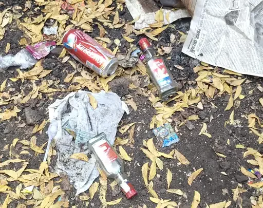 આણંદમાં 'દીવા તળે અંધારું': SOG કચેરીની સામે જ દારૂની ખાલી બોટલોનો ખડકલો, પોલીસની ઊંઘ ઉડી!