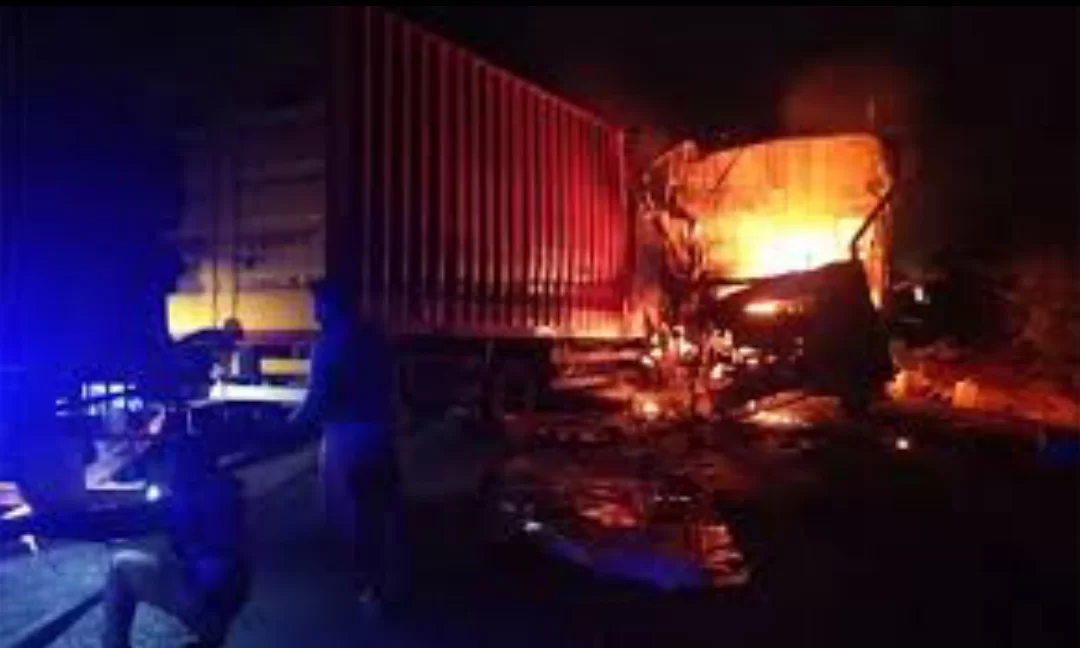 આણંદ નજીક એક્સપ્રેસ હાઈવે પર કન્ટેનર ટ્રકમાં આગ
