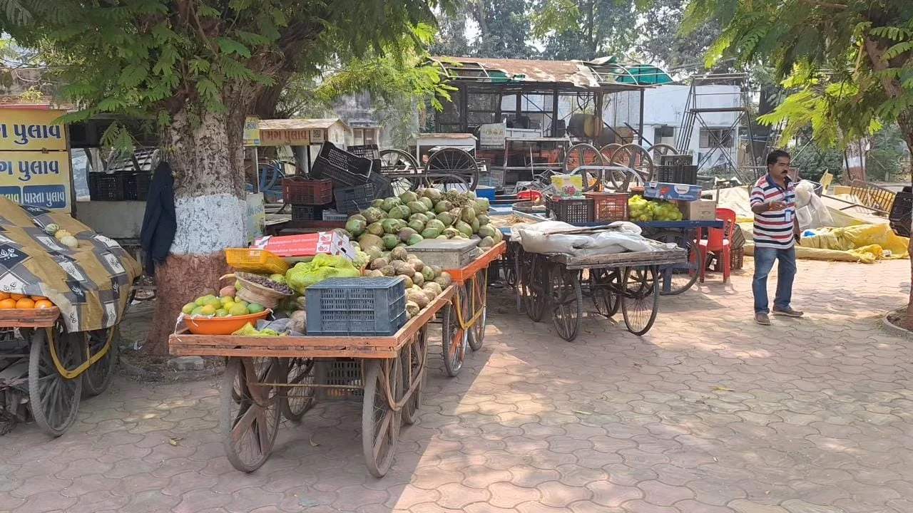 કરમસદ આણંદ મહાનગરપાલિકા દ્વારા વિદ્યાનગર જાહેર રોડ ઉપરના દબાણો દૂર કરાયા