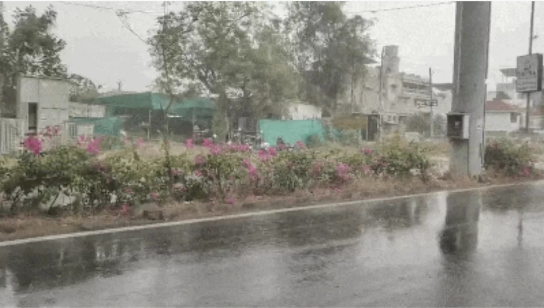 ગુજરાતમાં કમોસમી વરસાદની ચેતવણી: અમદાવાદમાં માવઠું, આગામી 24 કલાકમાં વાવાઝોડા સમાન સ્થિતિની શક્યતા