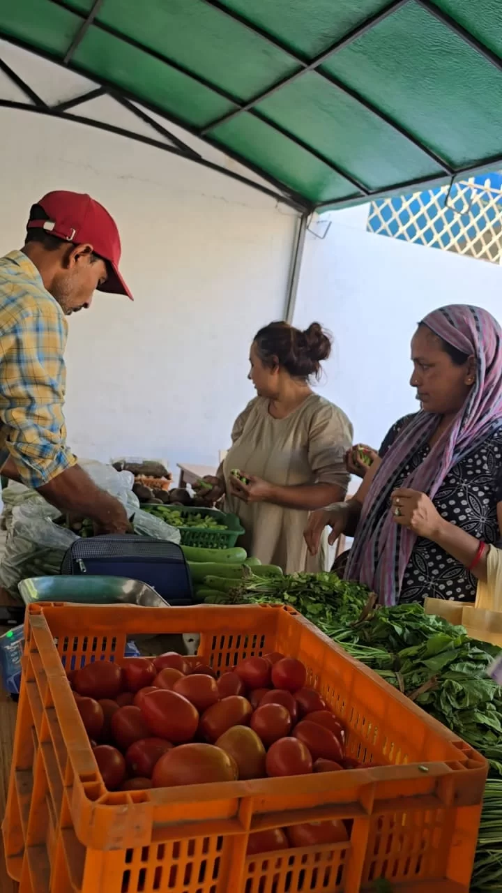 બોરસદ ચોકડી પાસેના કૃષિ કેન્દ્ર ખાતે દર મંગળવારે ભરાતા પ્રાકૃતિક ખેત પેદાશ વેંચાણ કેન્દ્રમાં ખેત પેદાશનું સારું વેચાણ