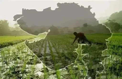 ગુજરાતમાં 'બોગસ ખેડૂત' કૌભાંડનો પર્દાફાશ: અમદાવાદ-ગાંધીનગરમાં 194 નકલી ખાતેદારો ઝડપાયા, હાઈકોર્ટ સુધી પહોંચ્યો વિવાદ