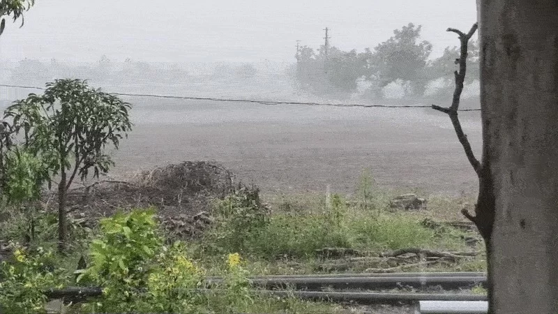 ચરોતરમાં કુદરતનો પ્રકોપ: આણંદ અને ખેડા જિલ્લામાં મીની વાવાઝોડા સાથે માવઠું, ખેડૂતો ચિંતિત