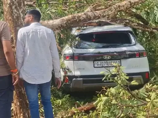 ઉમરેઠમાં 2 મિનિટનો તોફાન: વૃક્ષો ધરાશાયી, કારોને ભારે નુકસાન!