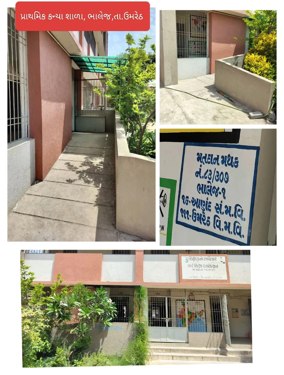 ૧૧૧ - ઉમરેઠ વિધાનસભા પેટાચૂંટણી ૨૦૨૬: દિવ્યાંગ અને વરિષ્ઠ મતદારો માટે મતદાન મથકો પર ‘સુગમ’ સુવિધાઓ ઉભી કરાઈ