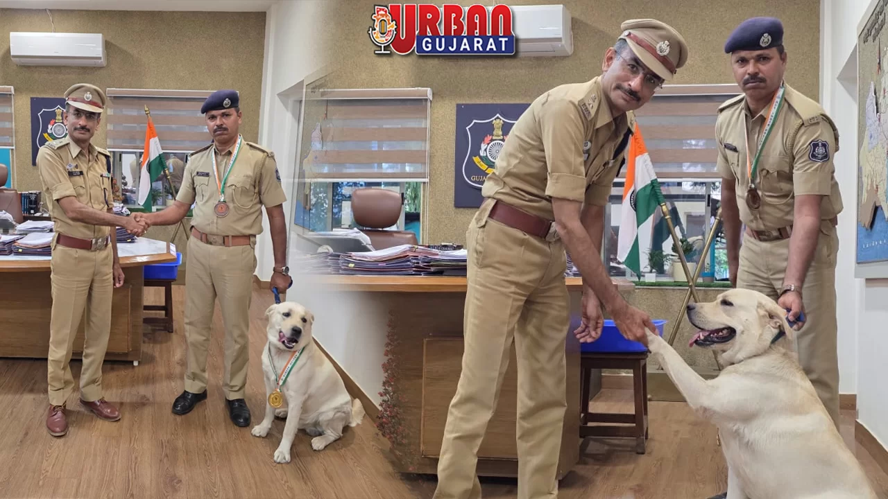 16 વર્ષ પછી ગુજરાત પોલીસના ‘ચેક’ ડોગે રાષ્ટ્રીય સ્તરે ગોલ્ડ જીતી ગૌરવ વધાર્યું