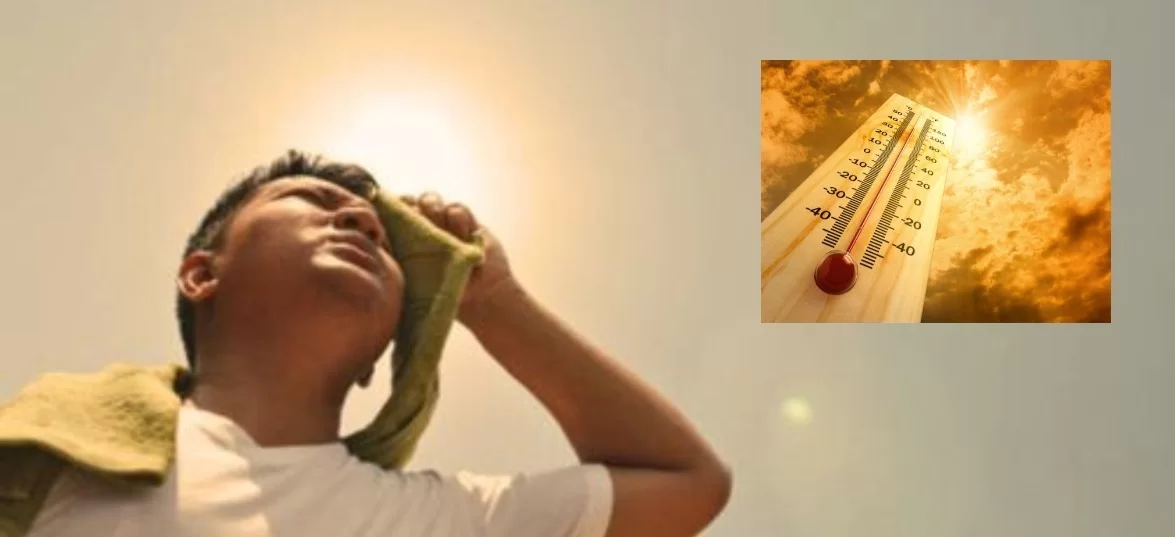 ૧૧૧-ઉમરેઠ વિધાનસભા પેટા ચૂંટણી: હીટવેવ સામે વહીવટી તંત્ર સજ્જ; મતદાન મથકો પર કરાઈ ખાસ વ્યવસ્થા