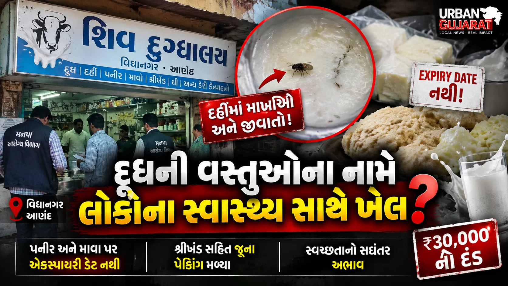 “દૂધની વસ્તુઓના નામે લોકોના સ્વાસ્થ્ય સાથે ખેલ? દહીંમાંથી માખીઓ અને જીવાતો મળતા મનપાની ટીમ પણ ચોંકી ગઈ!”