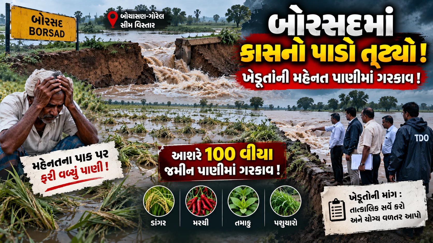 બોરસદમાં કાસનો પાડો તૂટ્યો અને ખેડૂતોની મહેનત પાણીમાં ગરકાવ થઈ ગઈ! 🌊🌾
